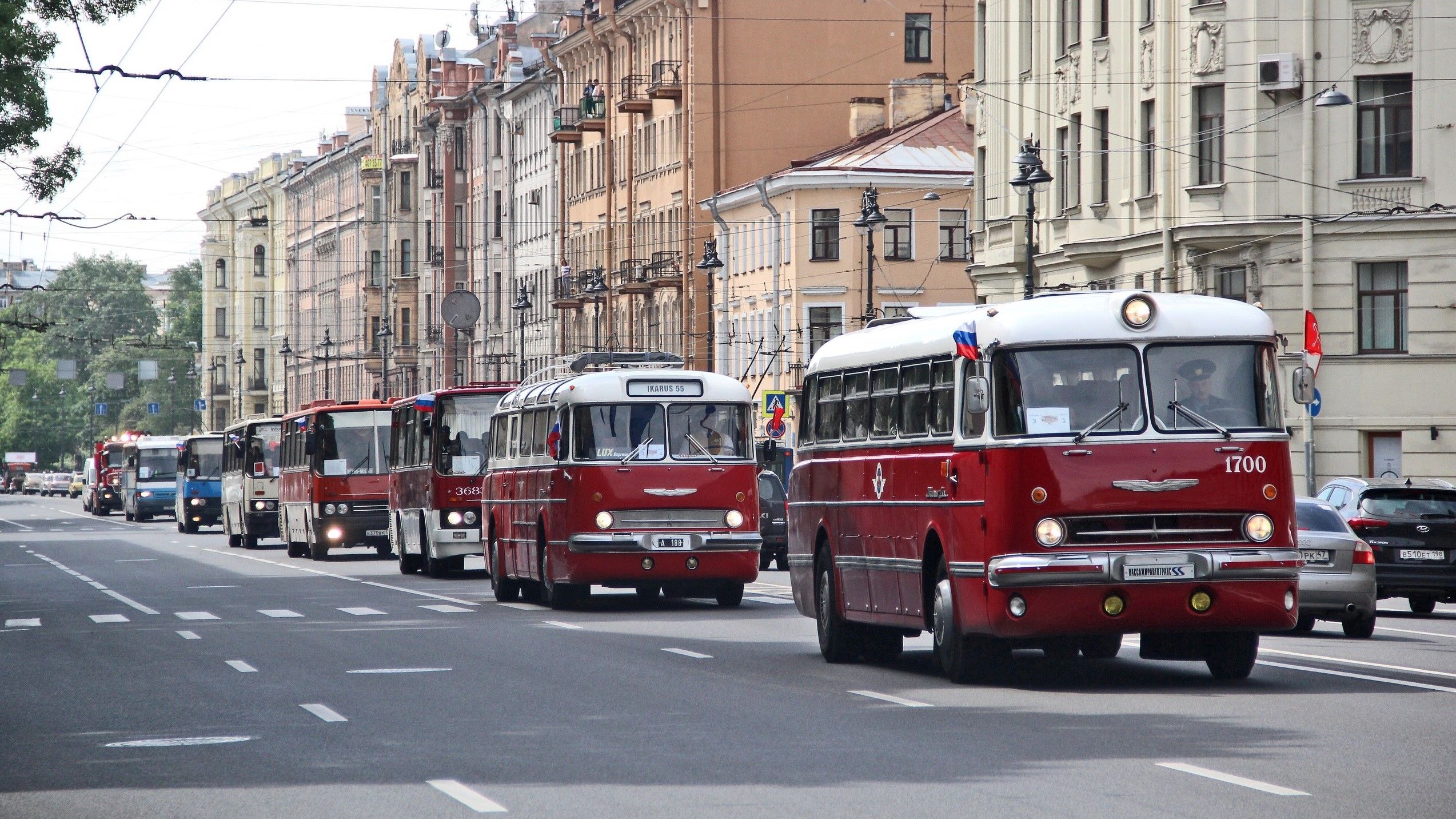 фото карточки